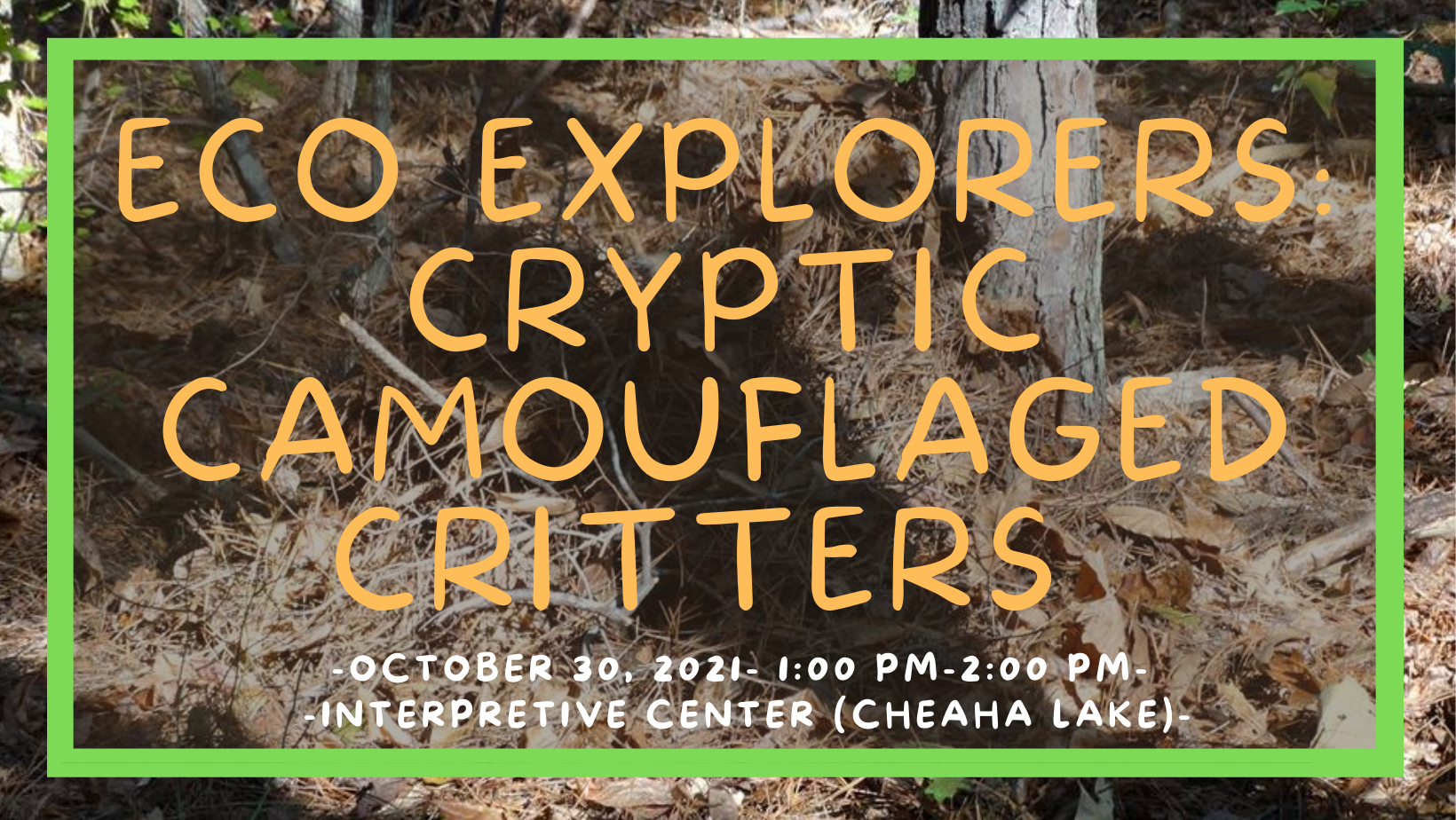 CSP 2021 Eco Explorers: Cryptic Camouflaged Critters Animals