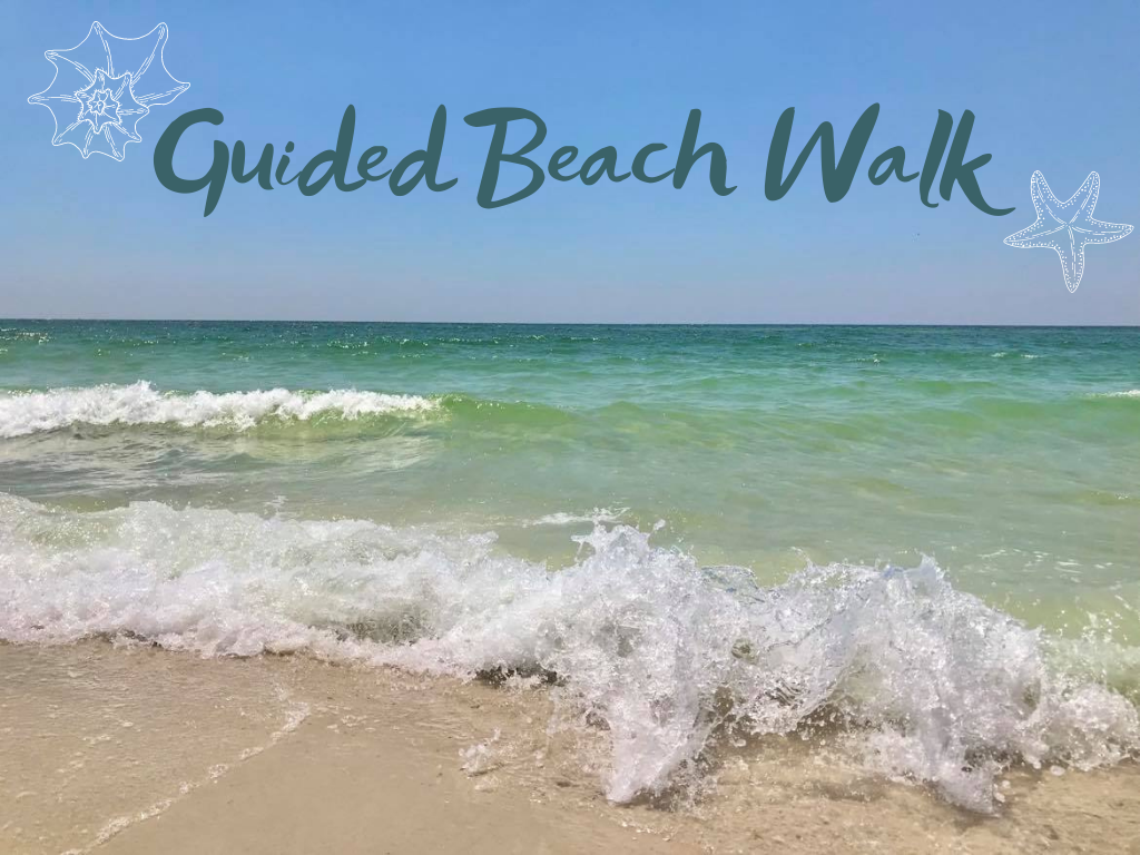 Guided Beach Walk Program at Gulf State Park