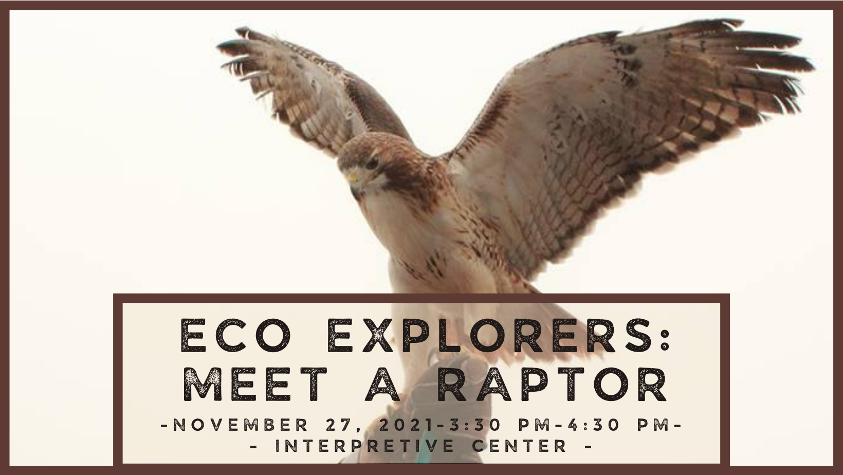Eco Explorers Meet a Raptor Alapark