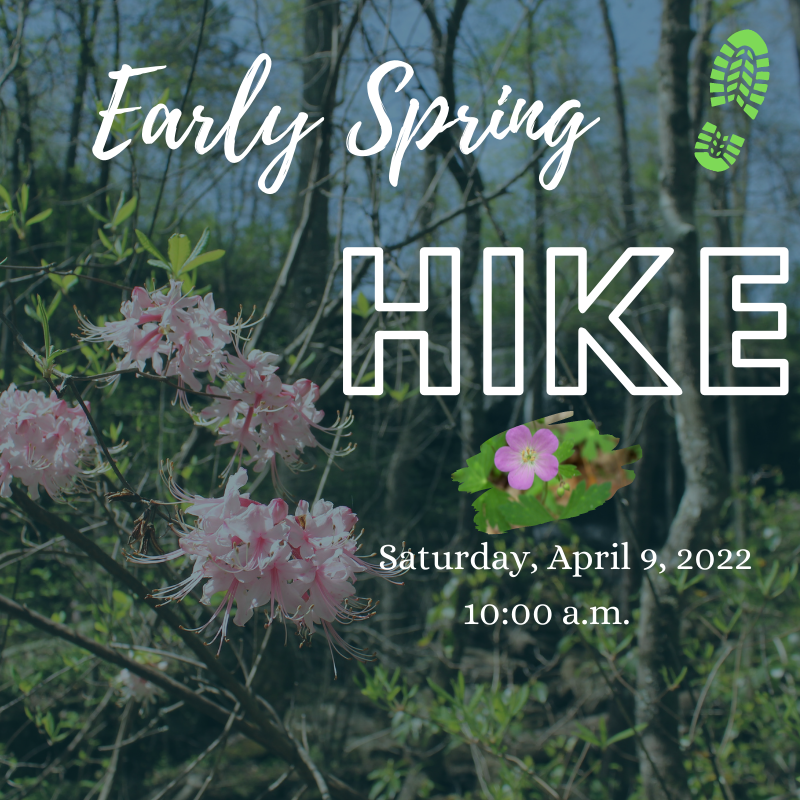 DSP Early Spring Hike