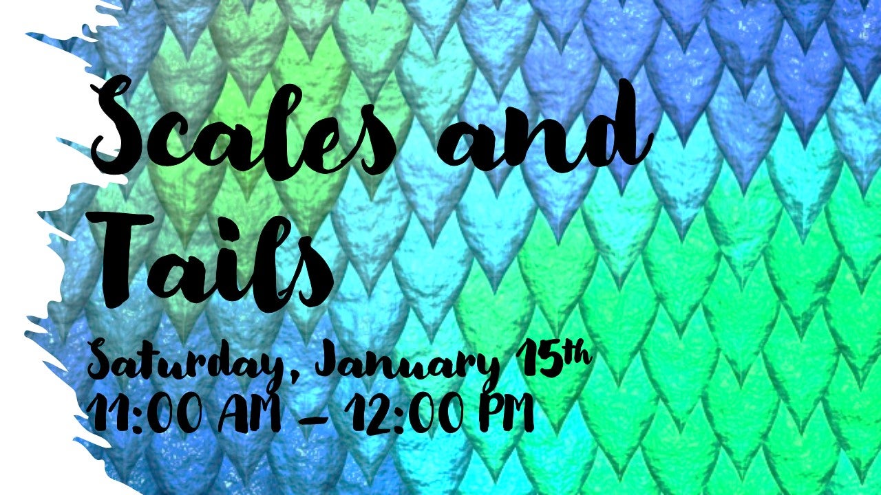 Scales and Tails Alapark