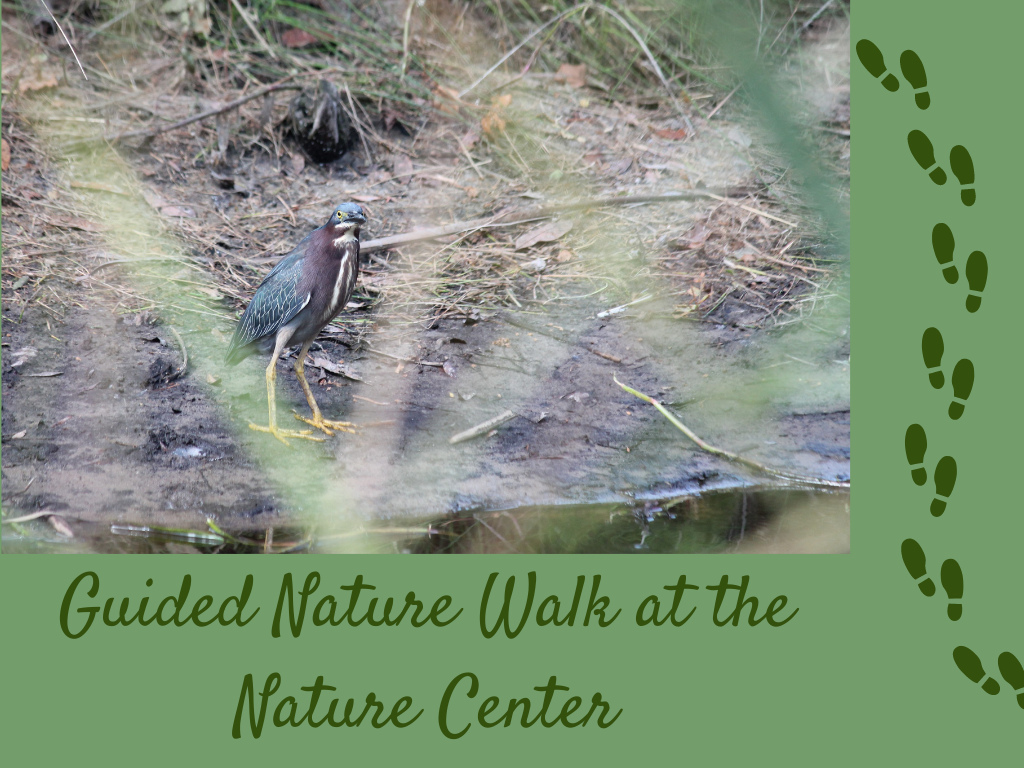 Guided Nature Walk at the Nature Center Program at Gulf State Park