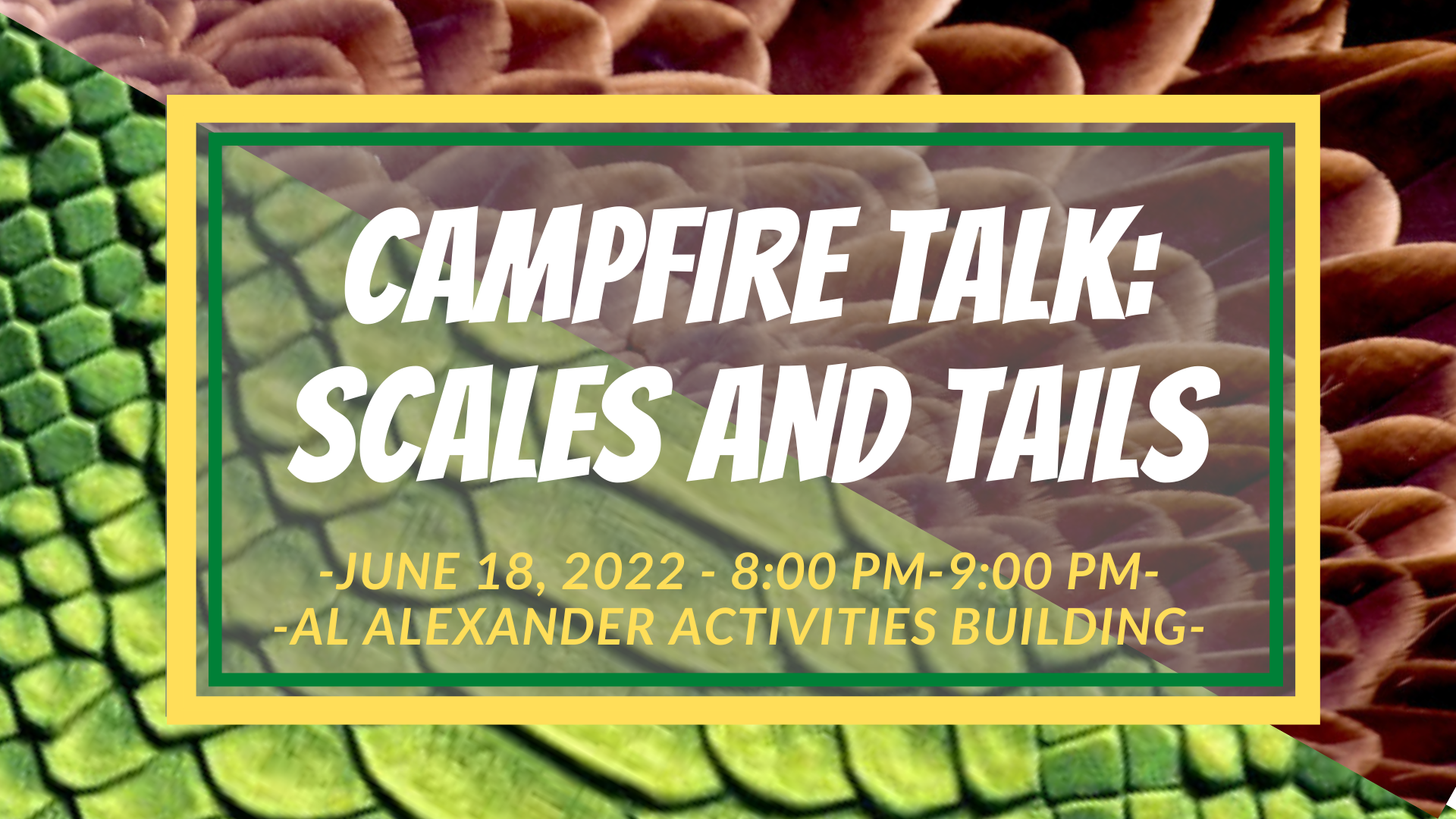 CSP Campfire Talk: Scales and Tails June 2022b