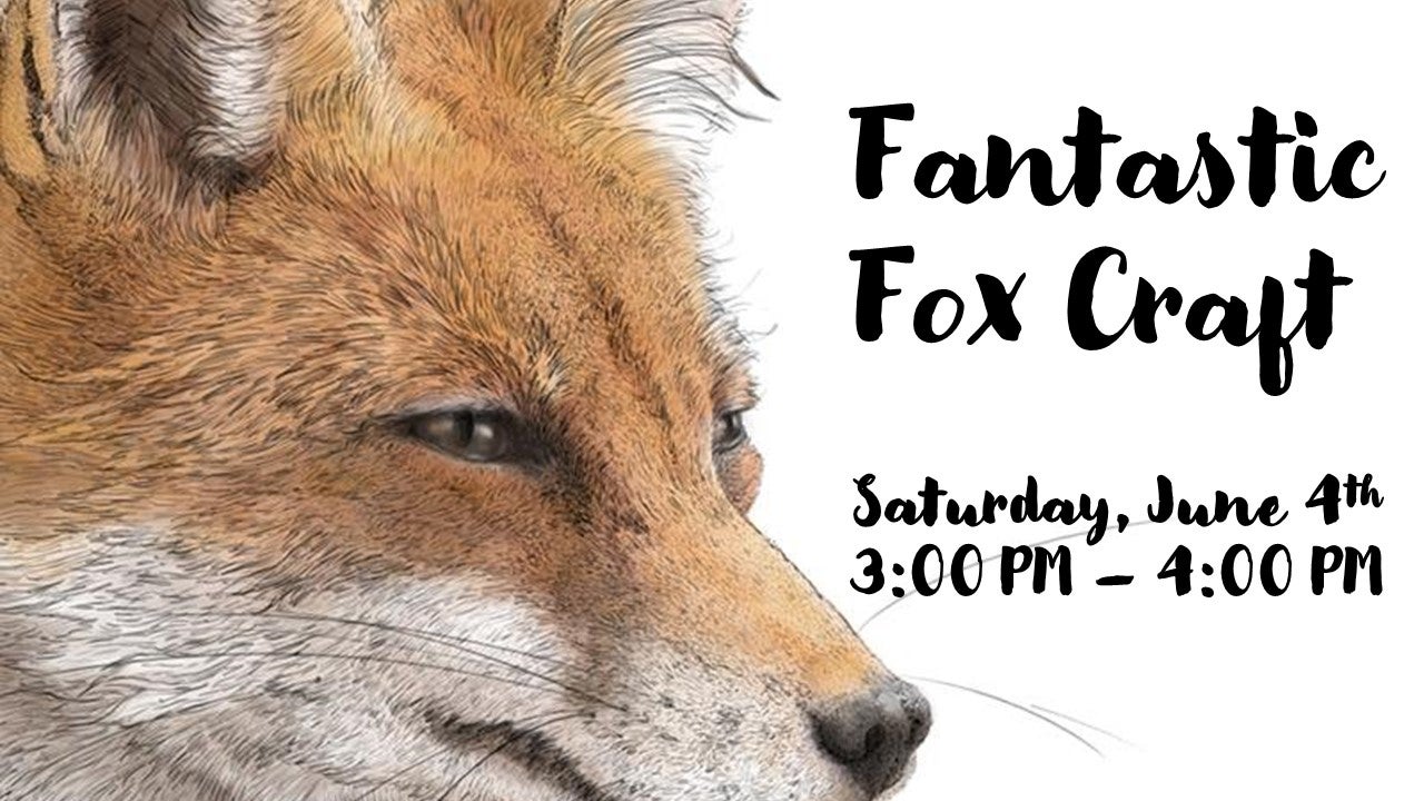 Fantastic Fox Craft Alapark
