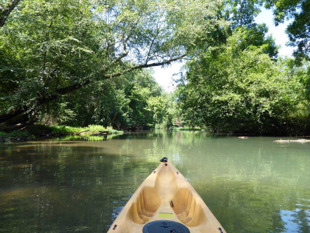 Adventuring First Creek