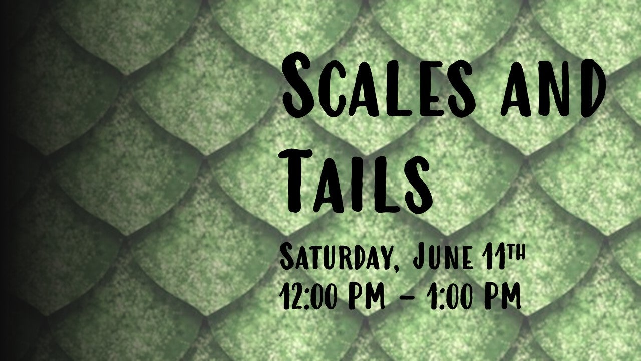Scales and Tails Alapark