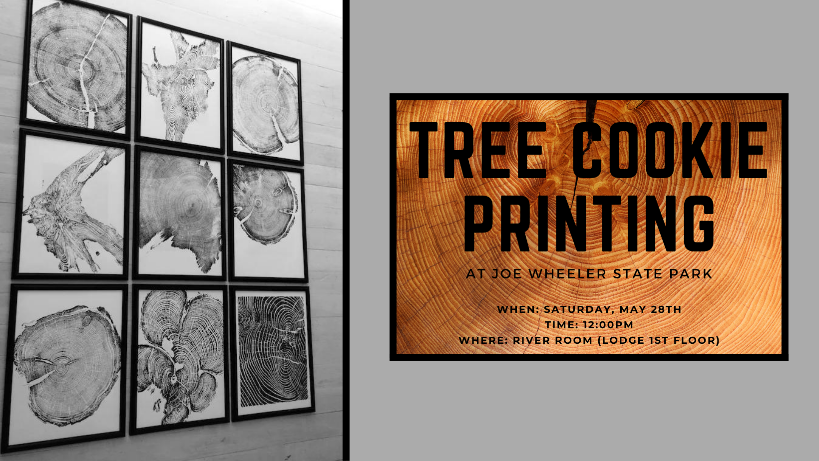 Tree Cookie Printing
