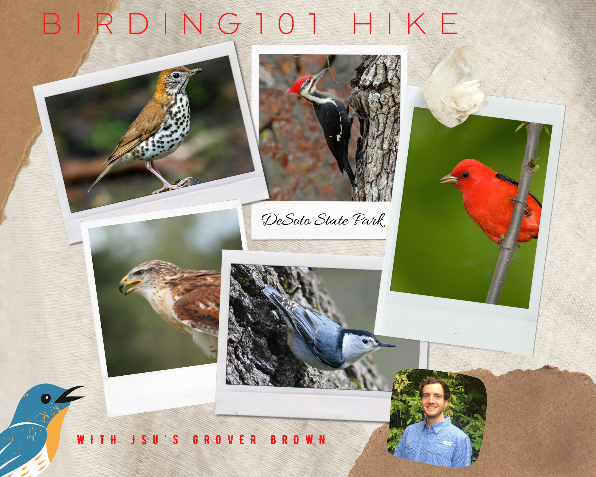 DSP Birding 101