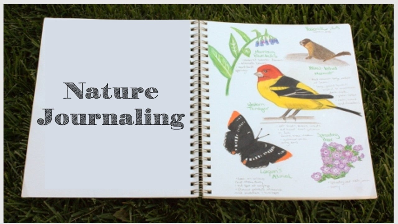 nature journaling