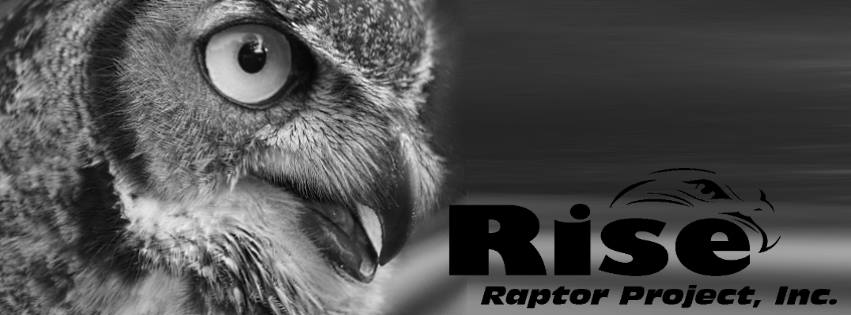 Rise Raptor Project