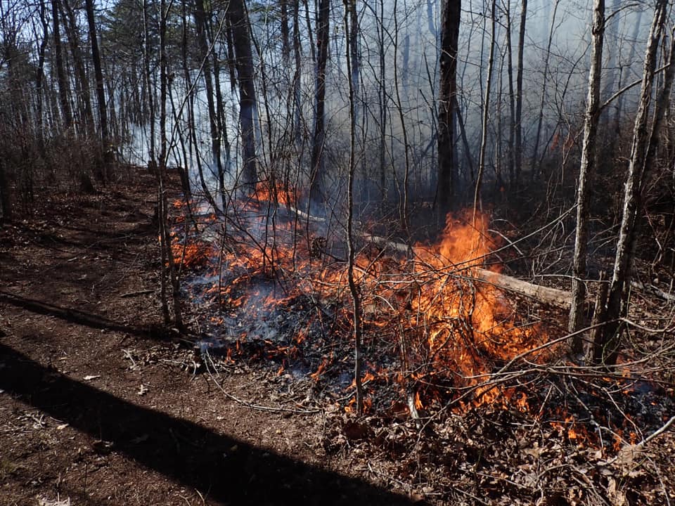 DSP Prescribed Burn