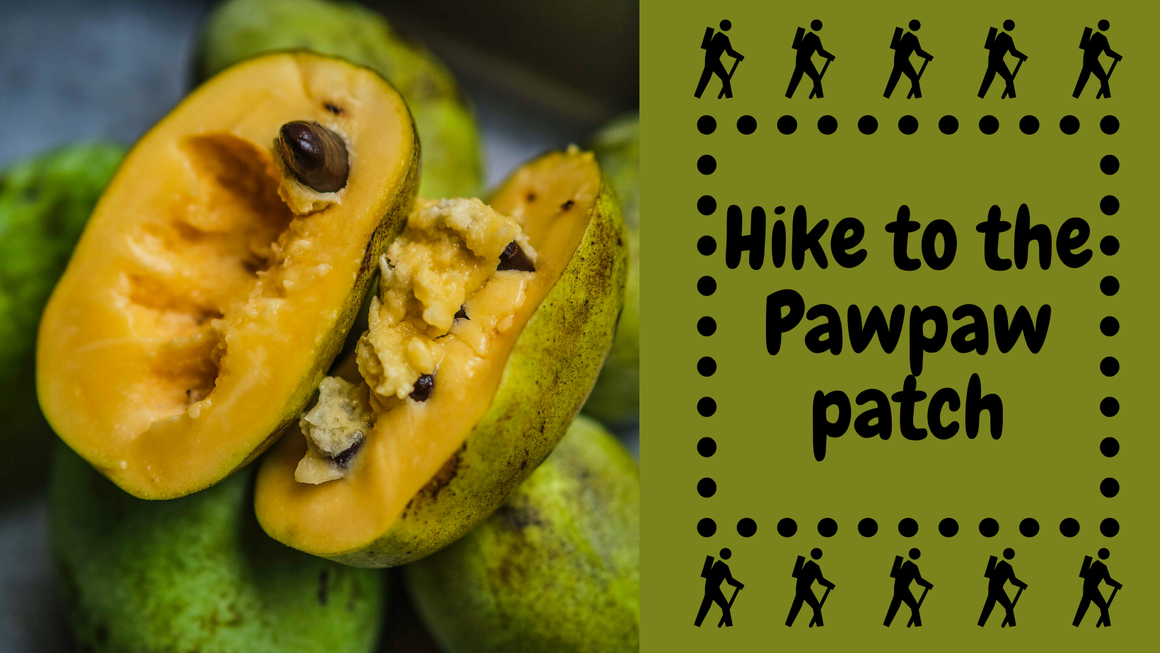 Hike to the Pawpaw Patch
