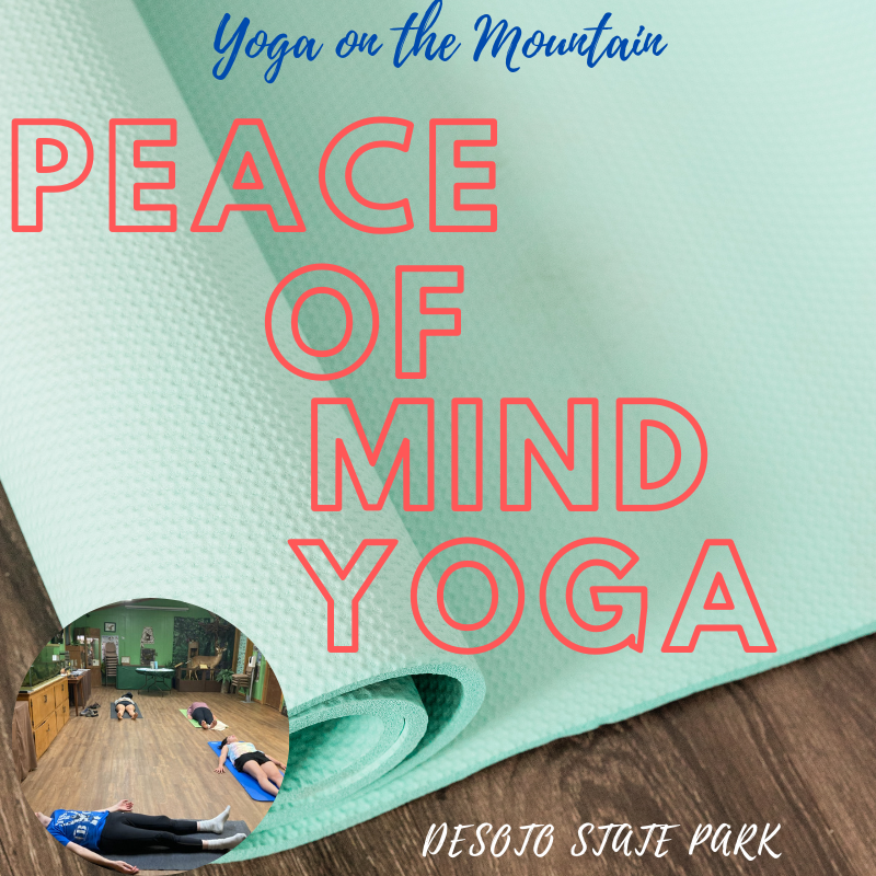 DSP Peace of Mind Yoga