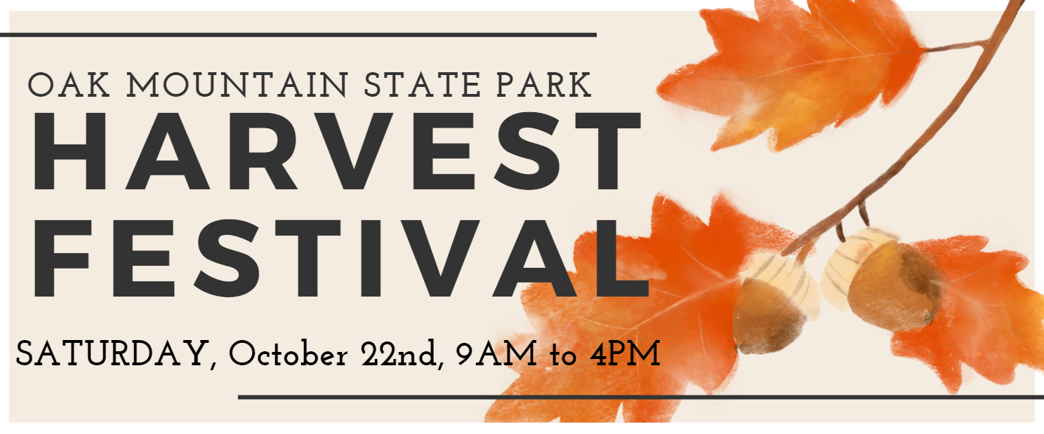Harvest Festival