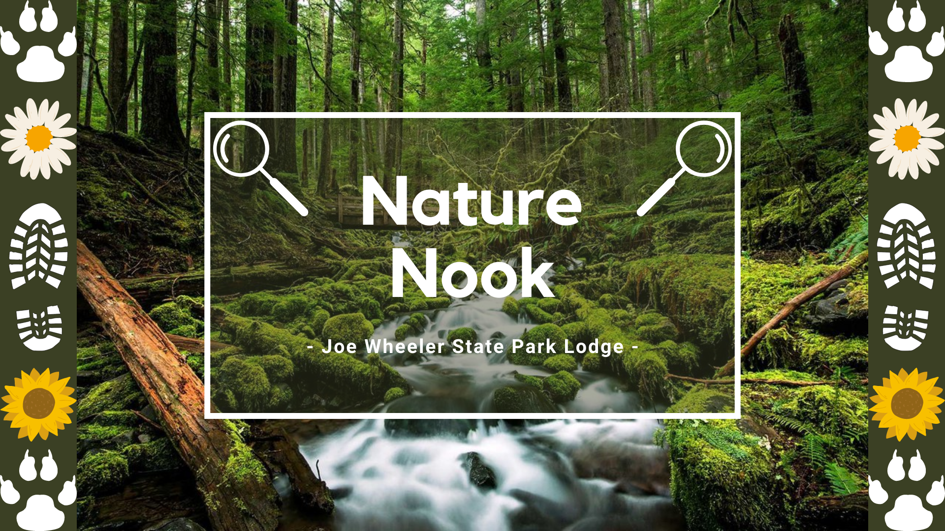 Nature Nook