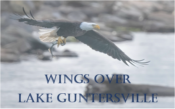 LGSP Wings Over Lake Guntersville