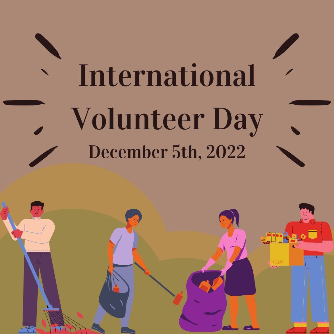 International Volunteer Day! Alapark
