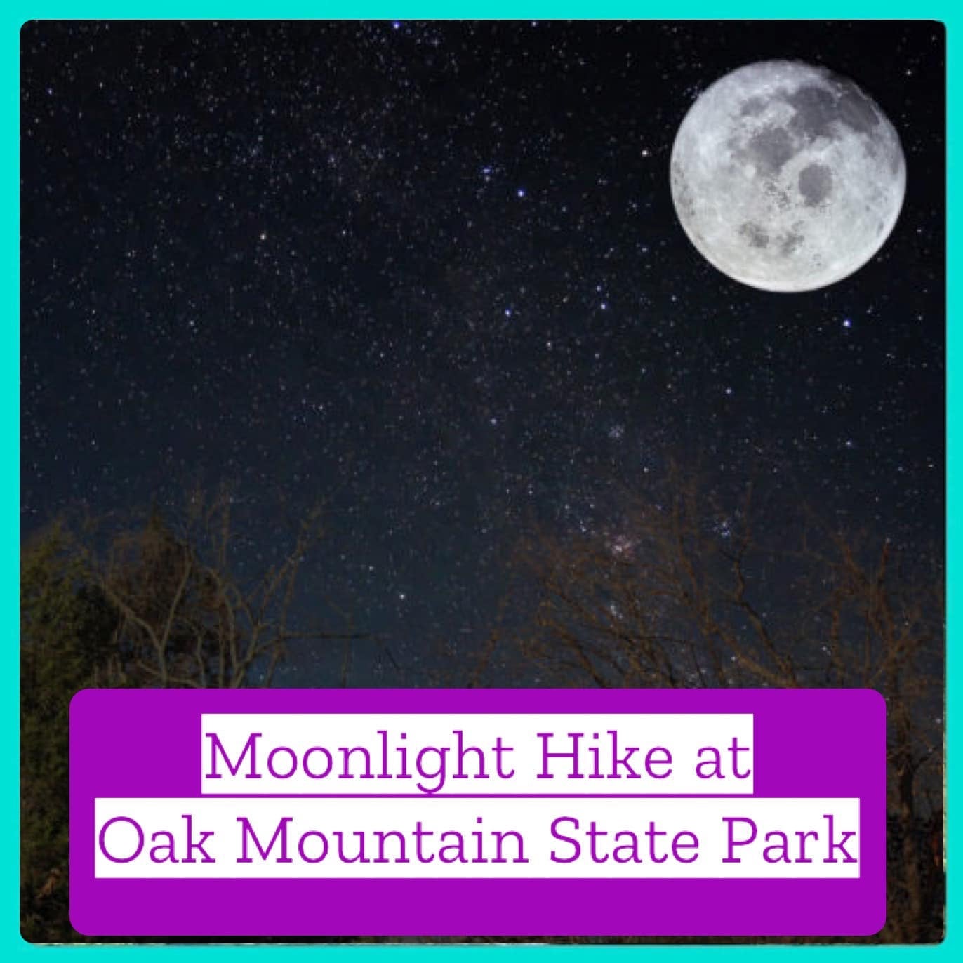 Moonlight Hike OMSP