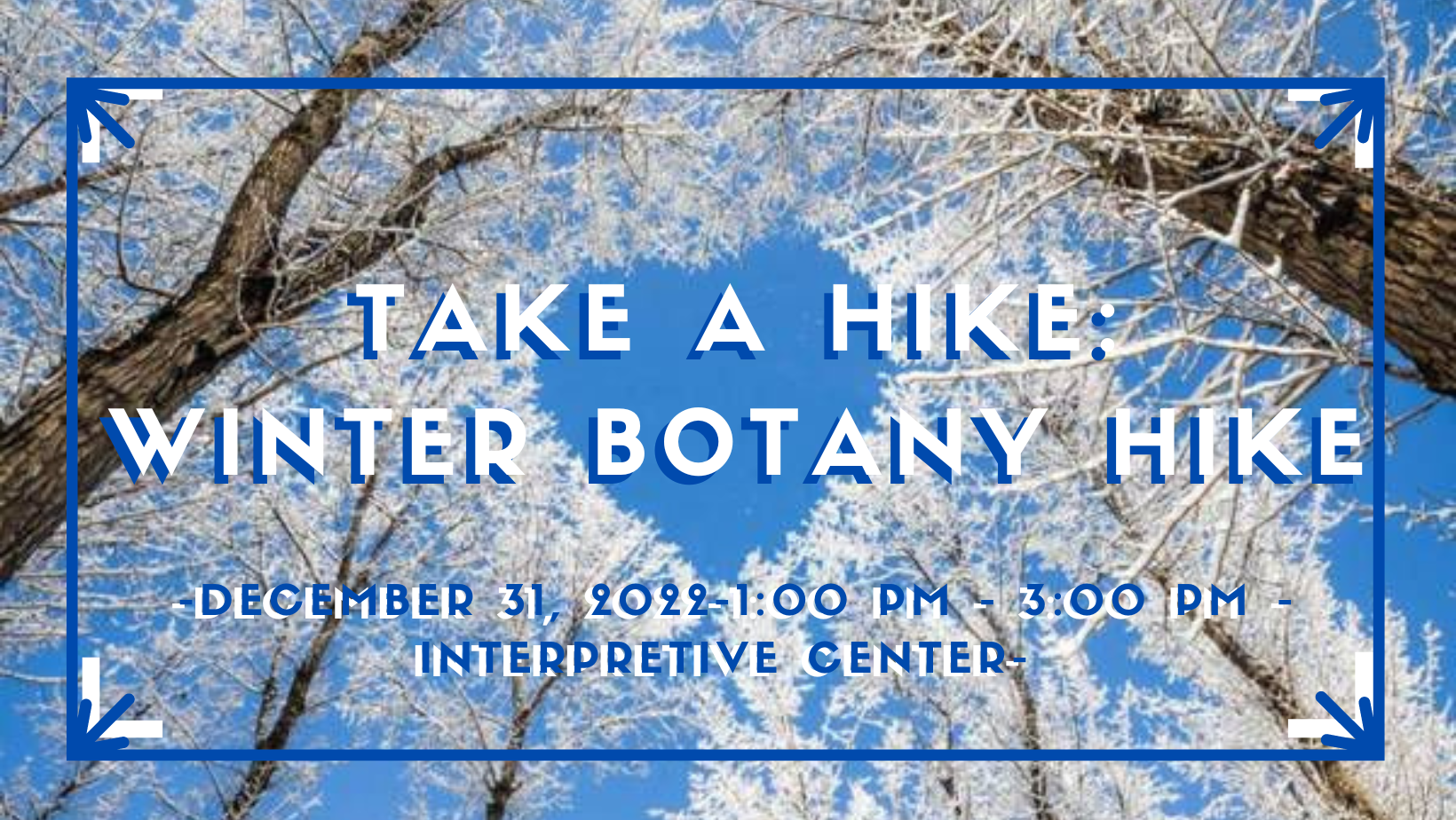 Take a Hike: Winter Botany