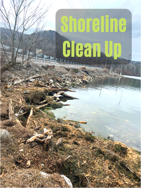 LGSP Shoreline Clean Up