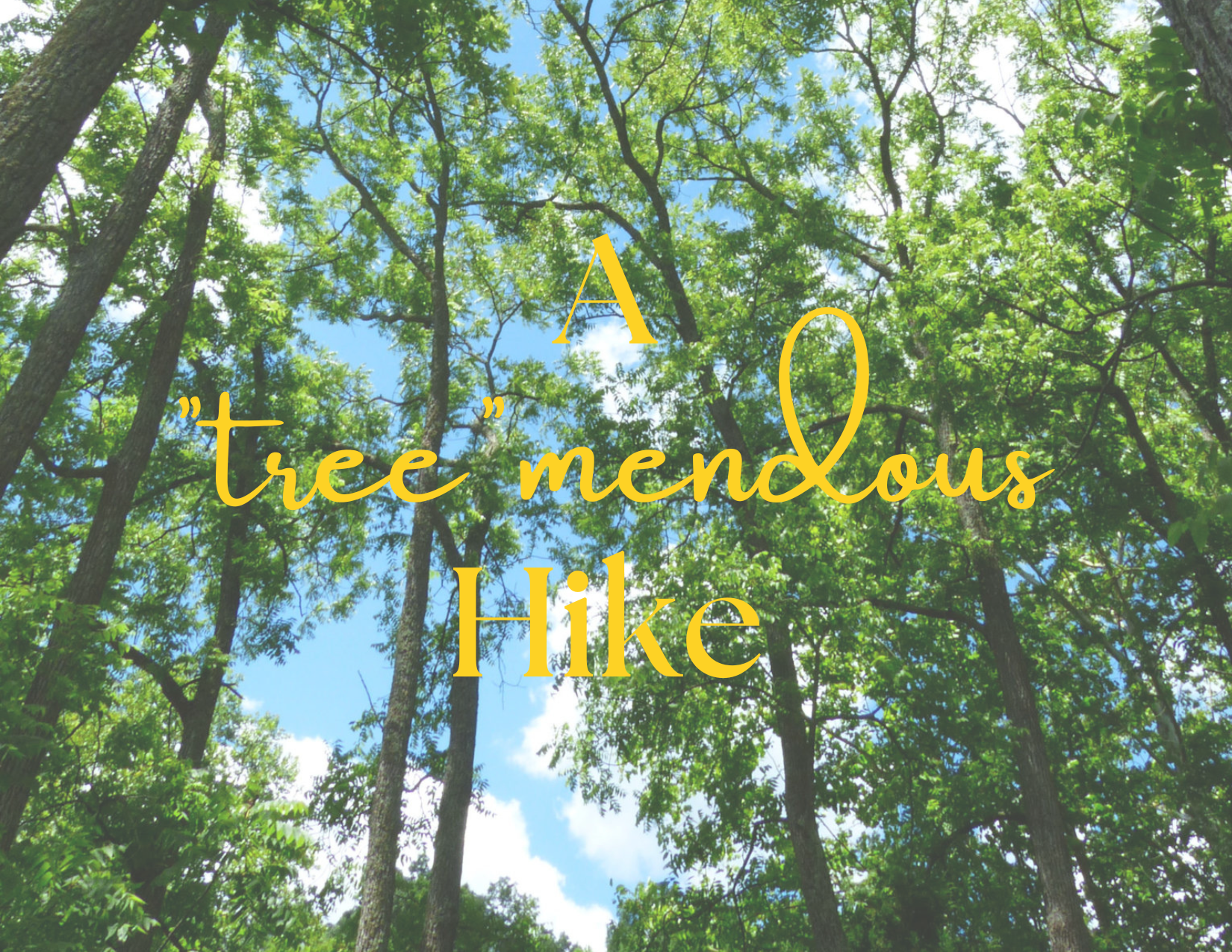 lgsp treemendous hike
