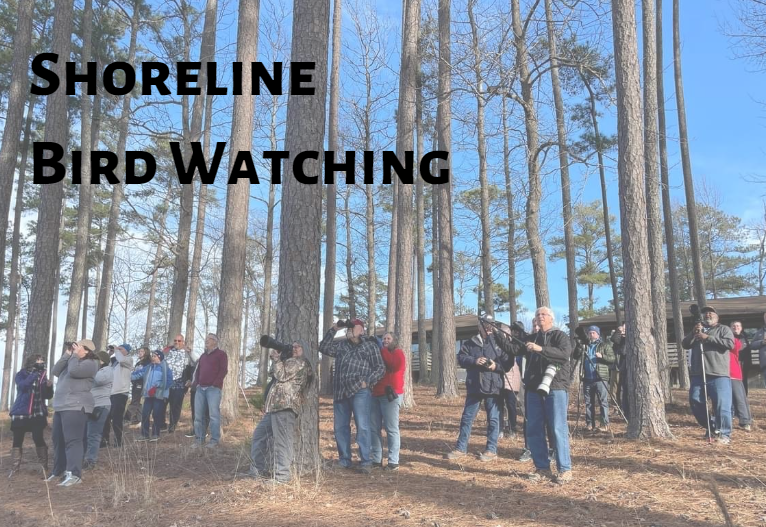LGSP shoreline bird watching 