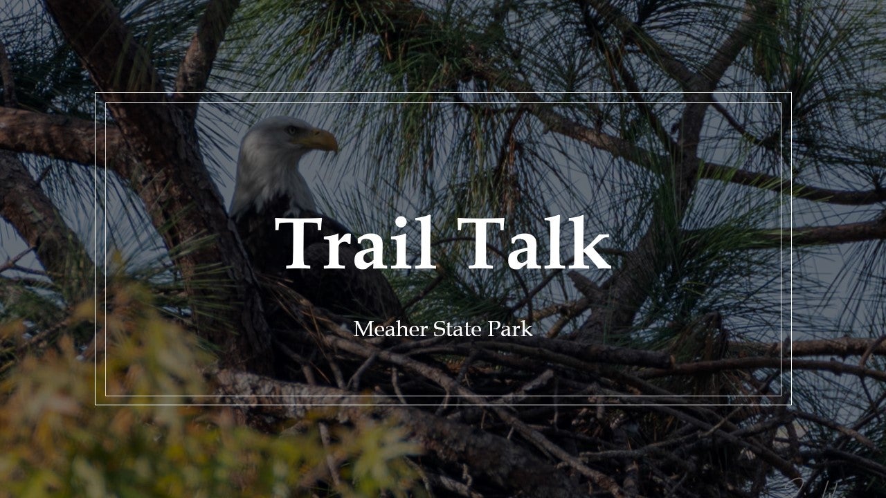 Trail Talk