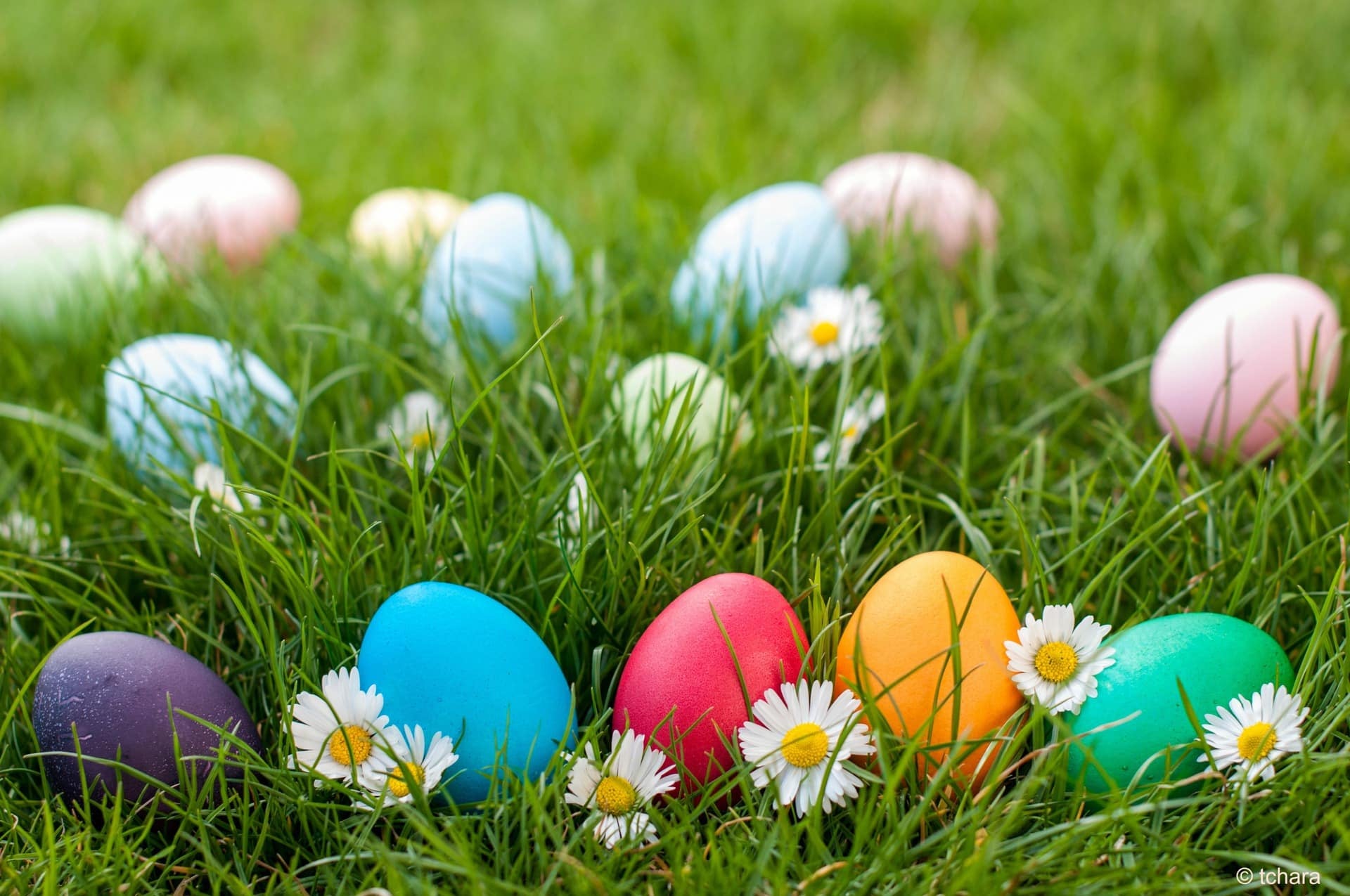 Cheaha Easter Egg Hunt
