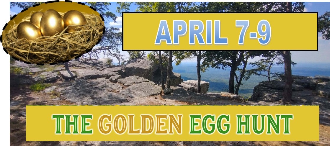 Golden Egg Hunt