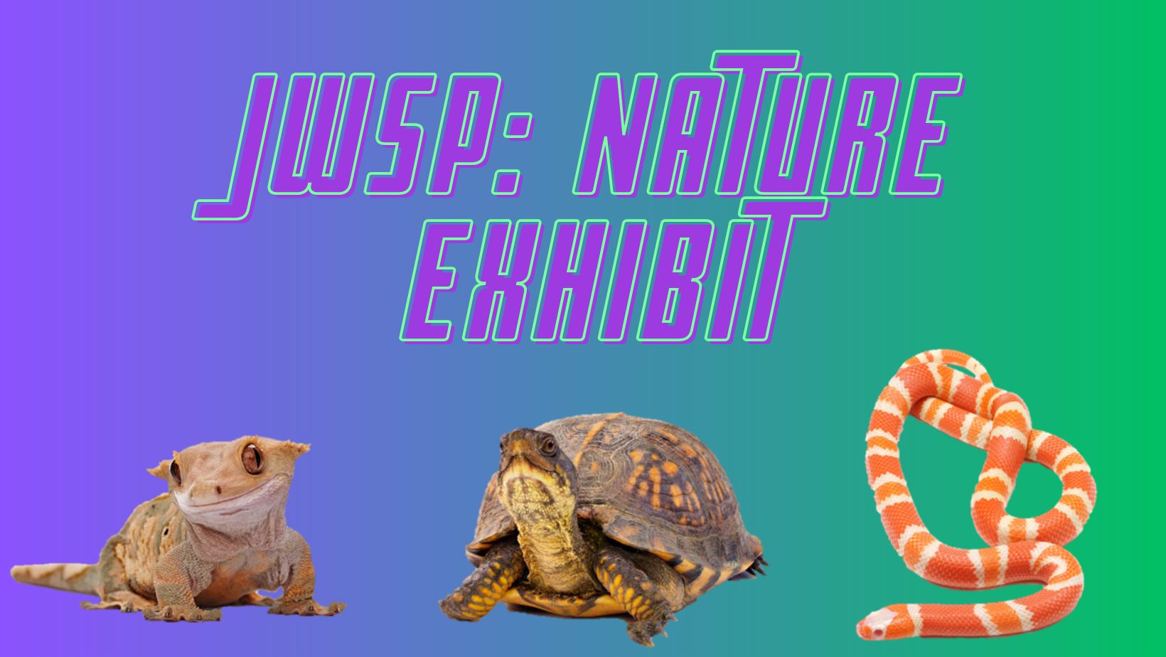 JWSP: Nature Exhibit