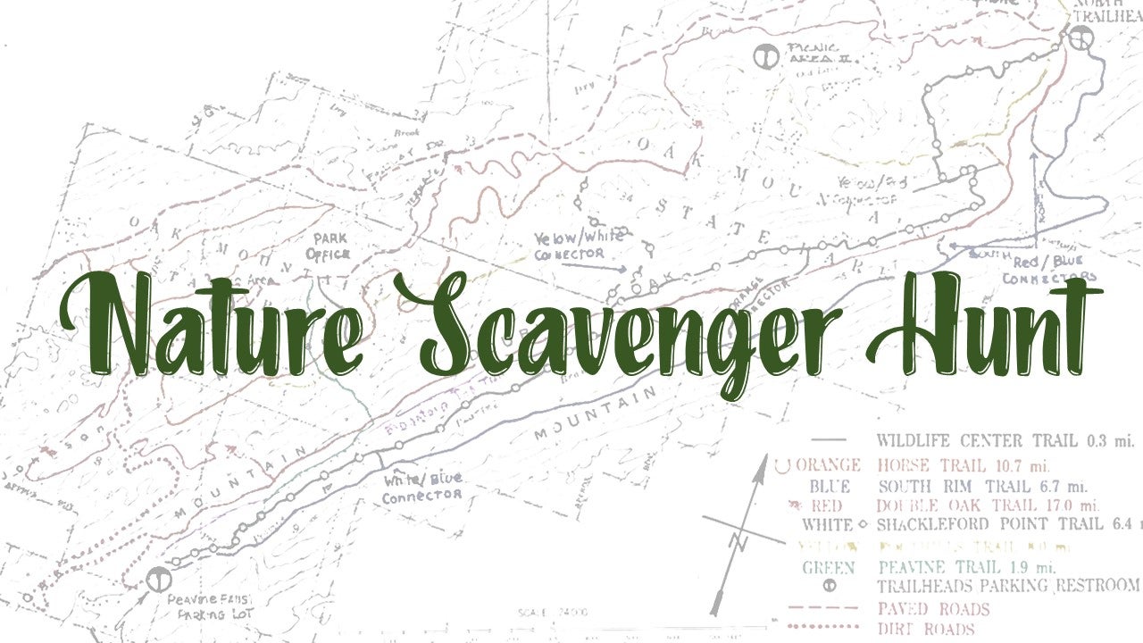 Nature Scavenger Hunt