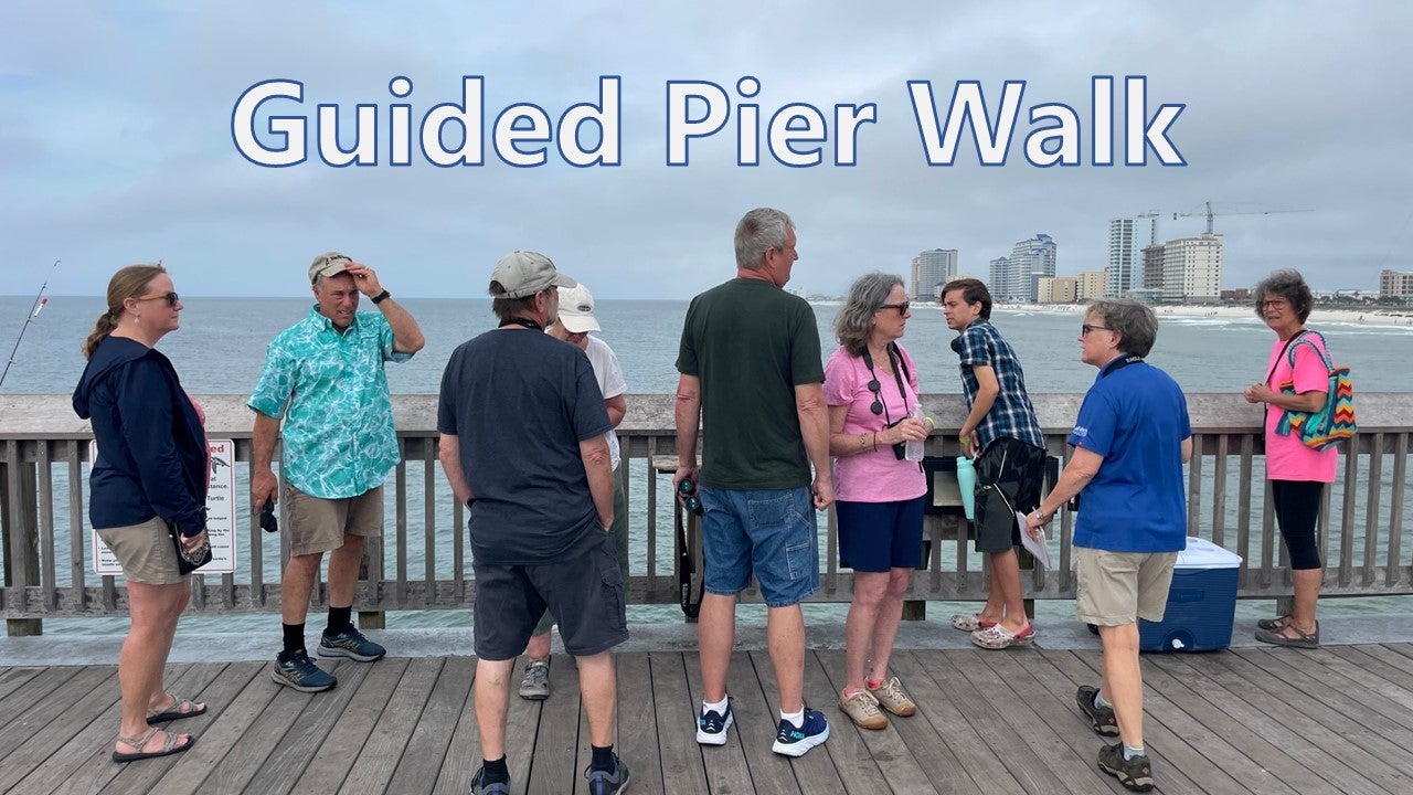Guided Pier Walk
