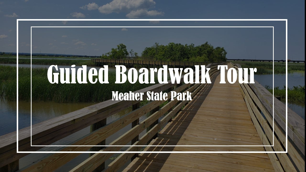 Guided Boardwalk Tour