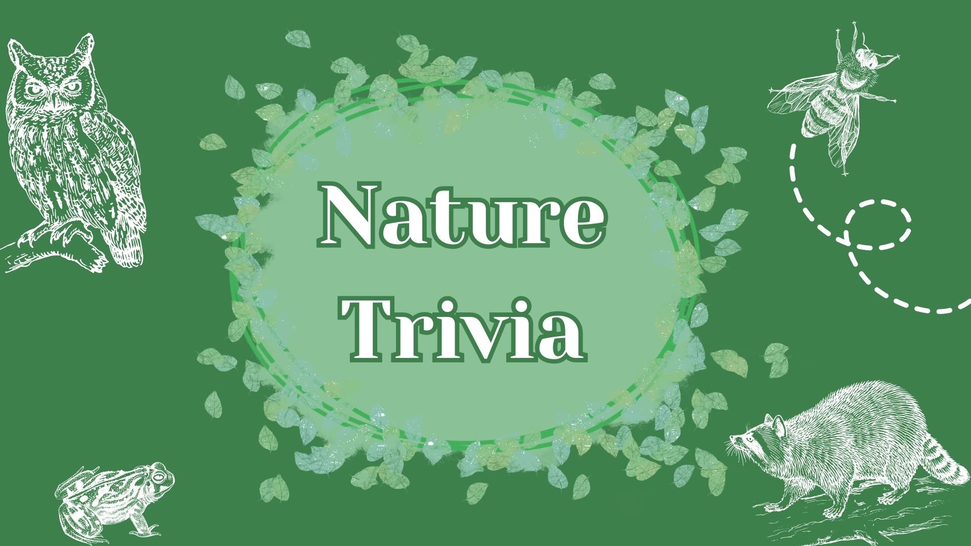 Nature Trivia MSP