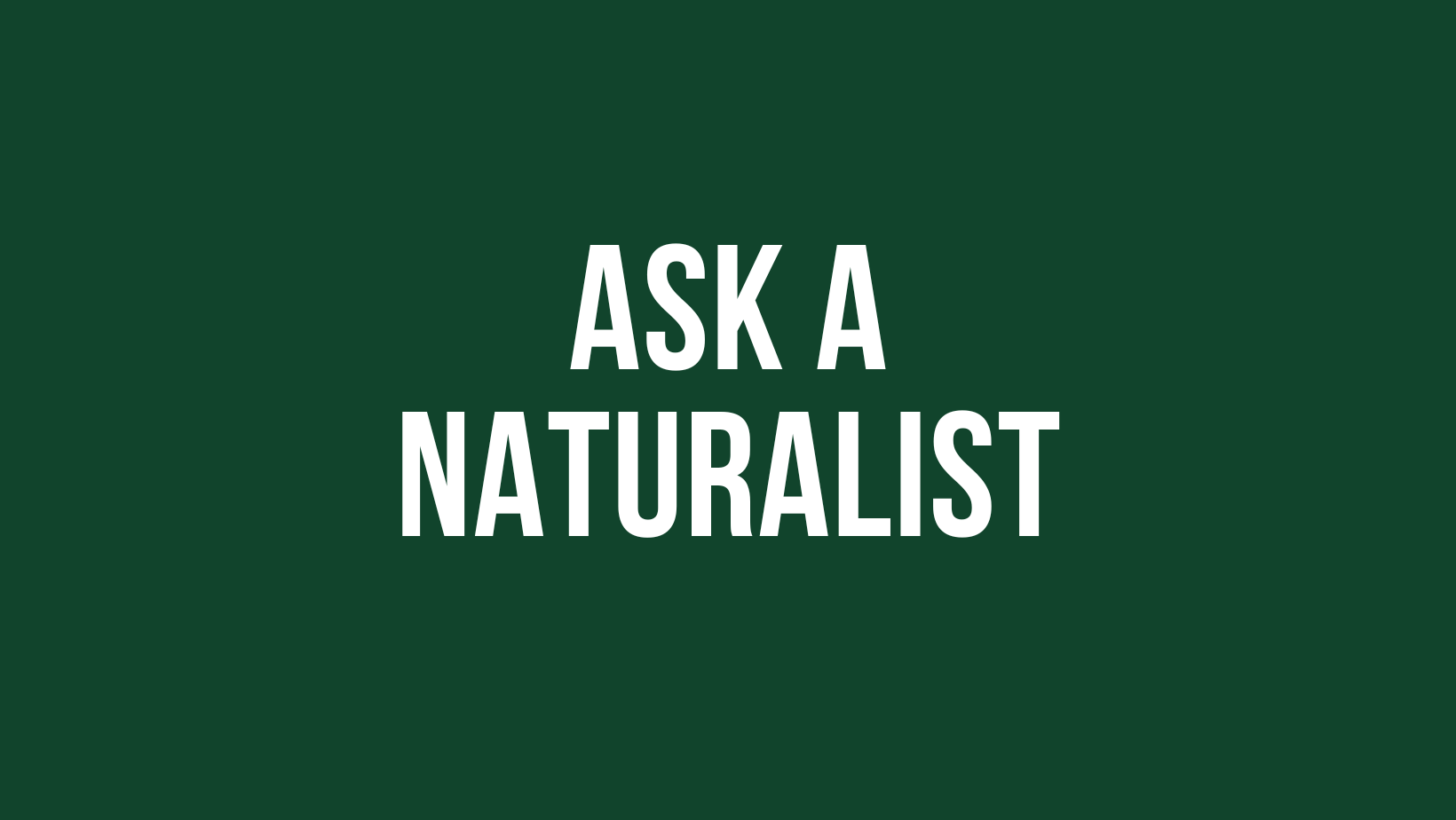 Ask a Naturalist Alapark