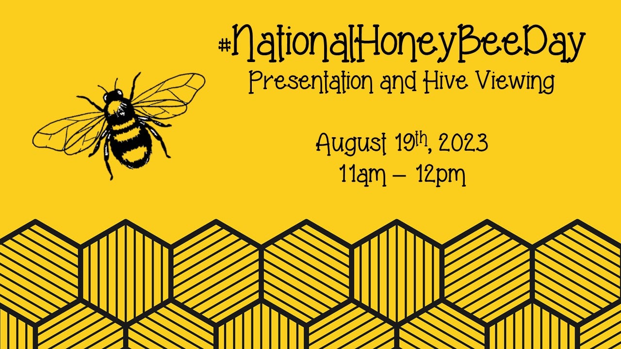honeybee