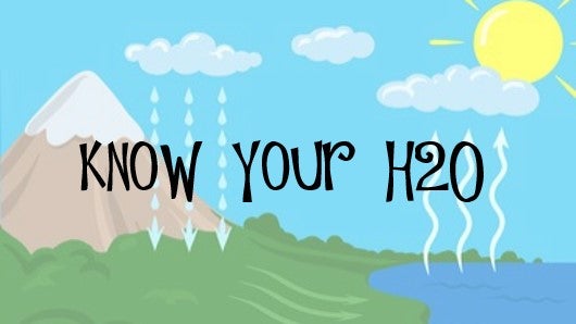 H2O