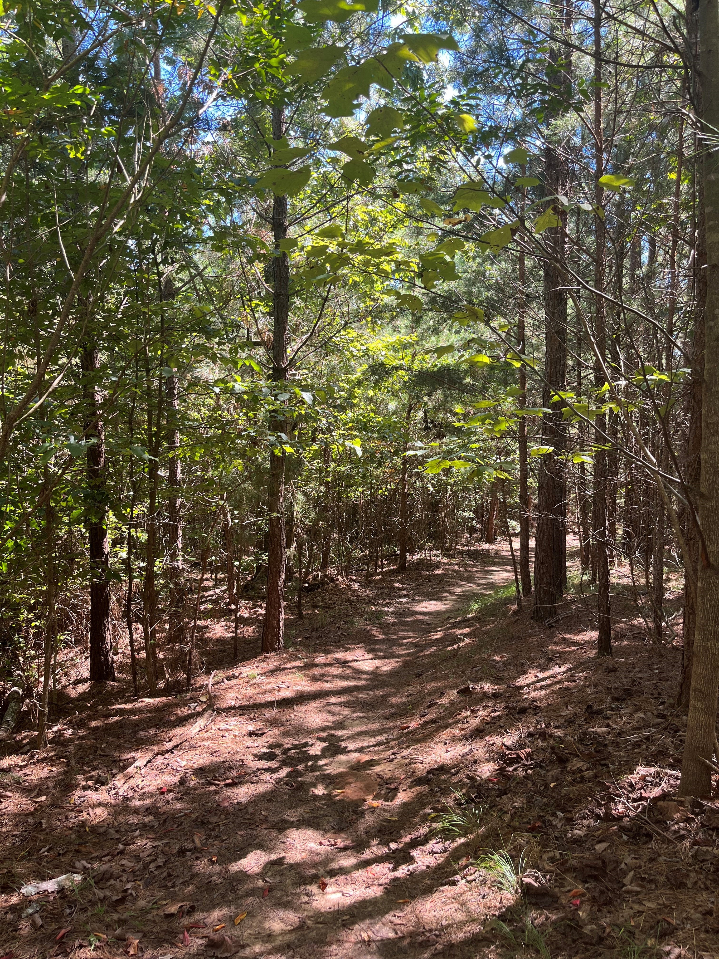lgsp trail