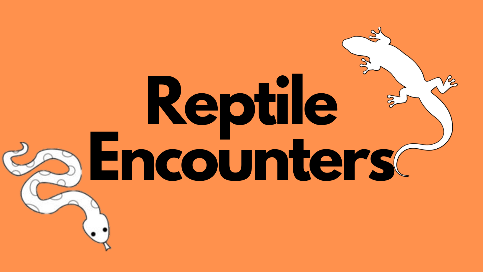 Reptile Encounters