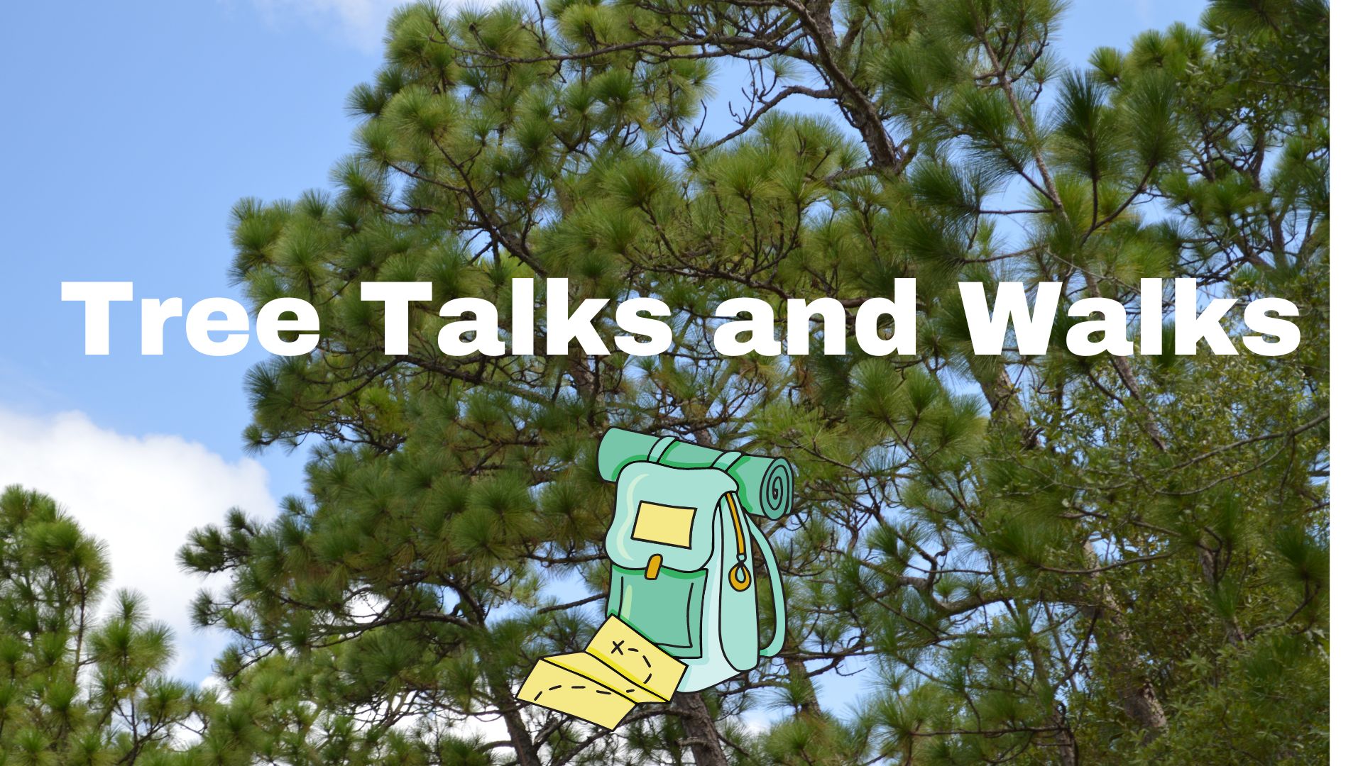 tree talks walks