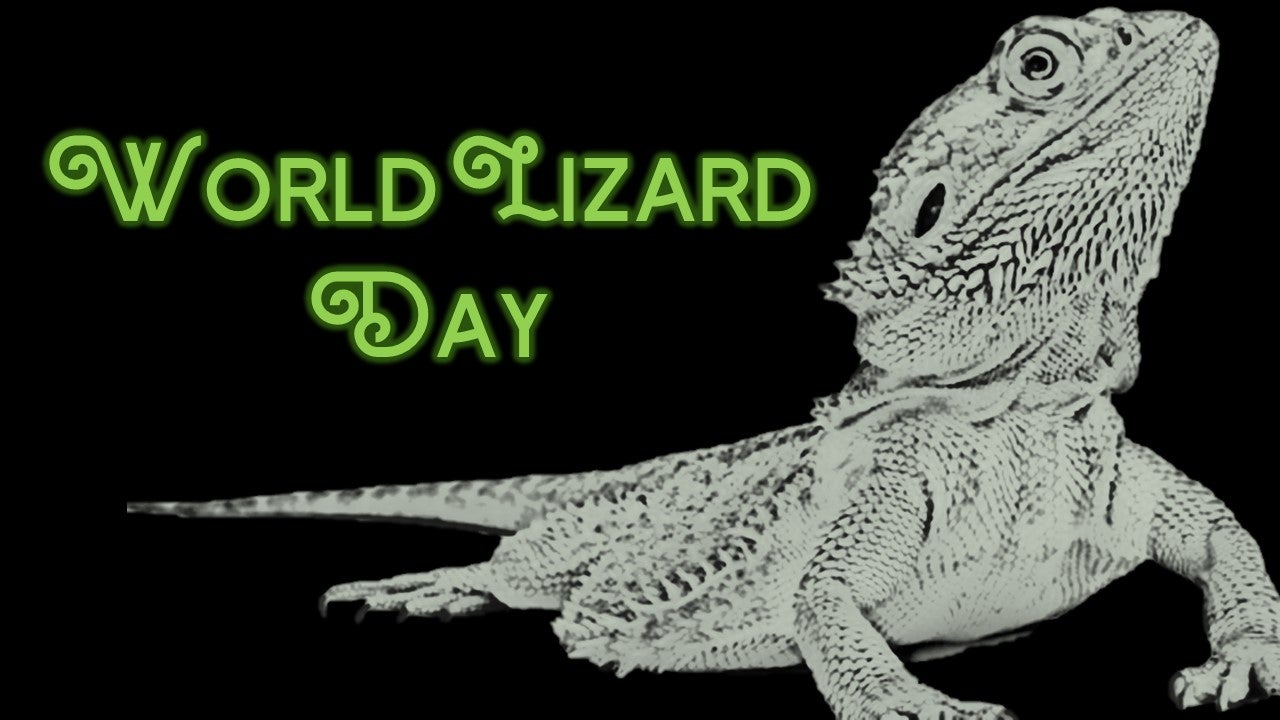 world lizard day