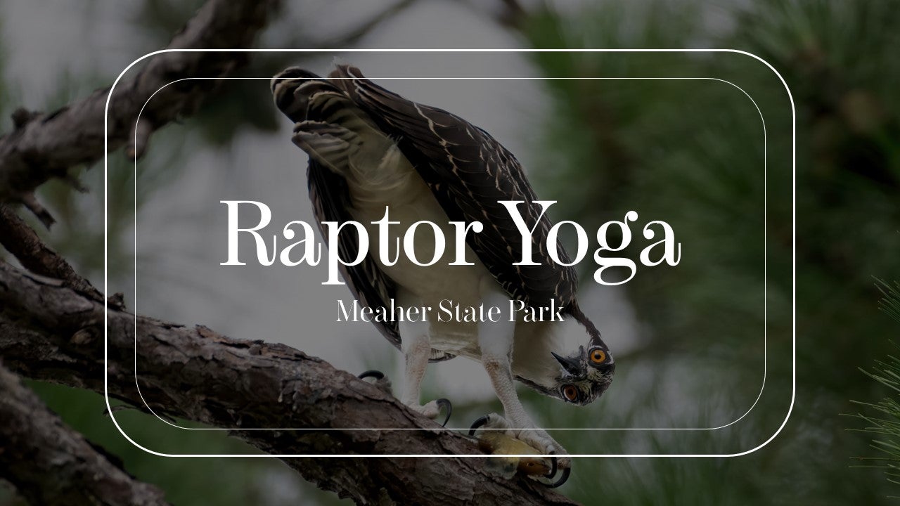 Raptor Yoga MSP
