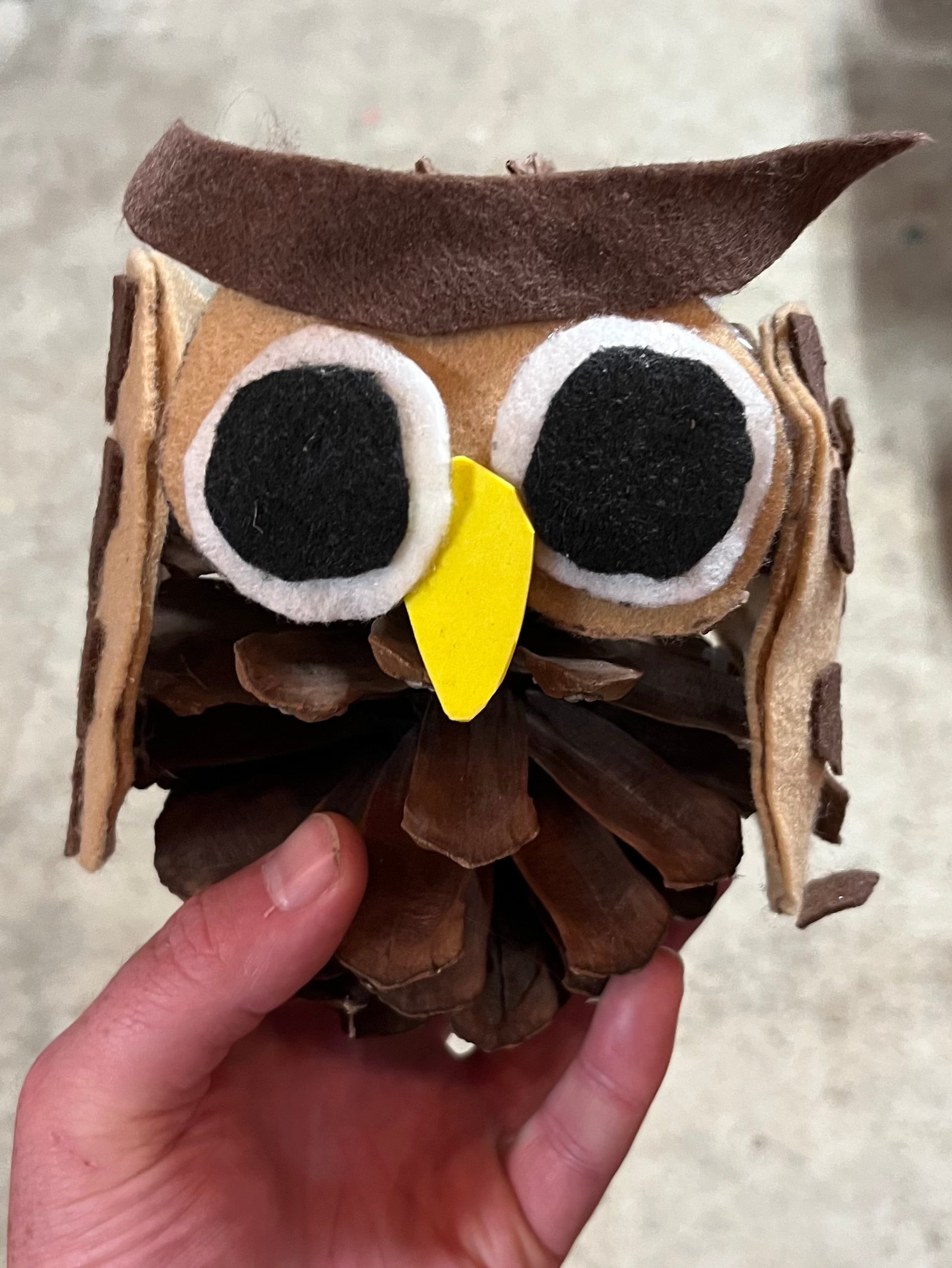 arts and crafts pinecone owl