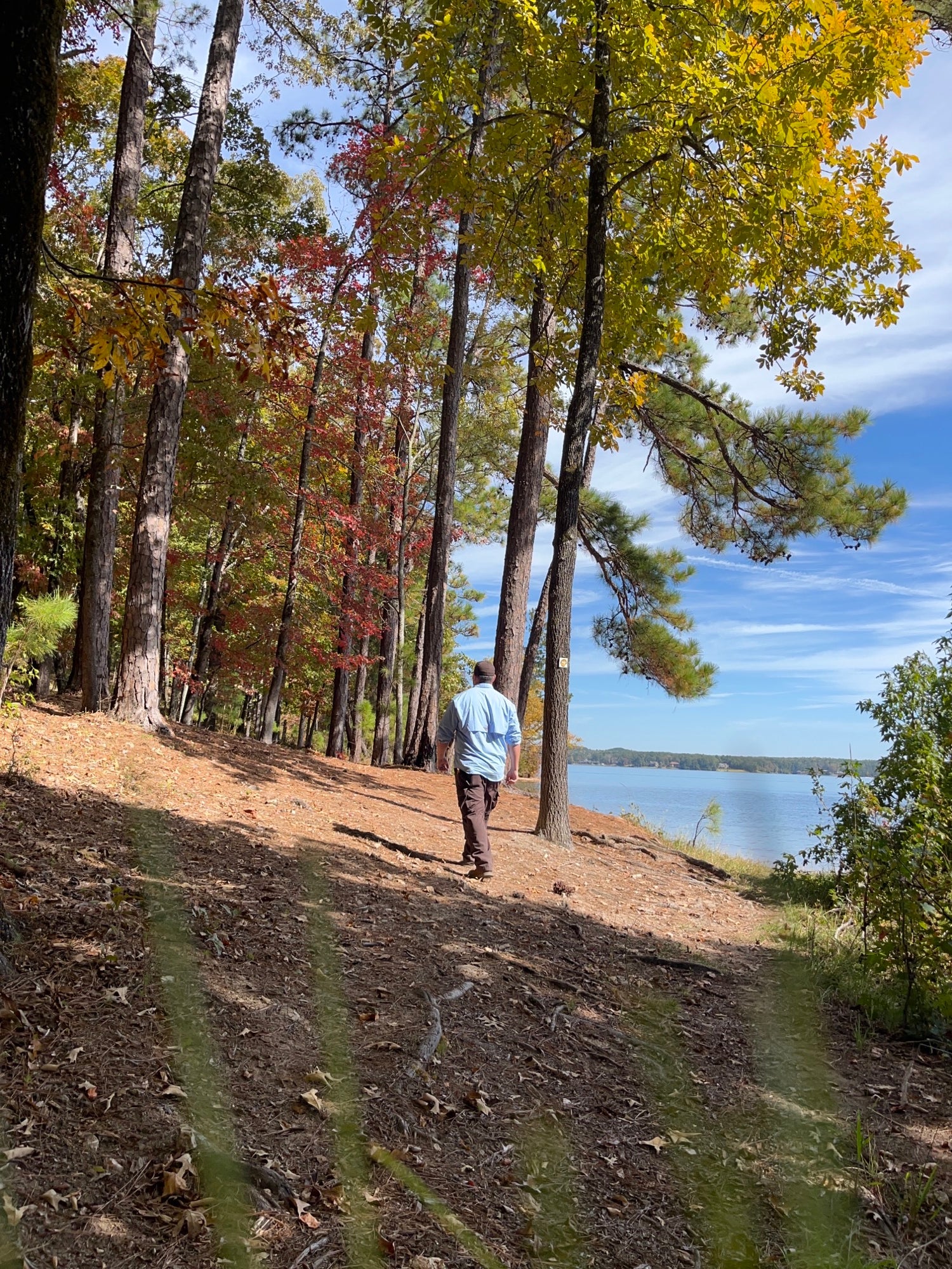 Guided Hike! | Alapark