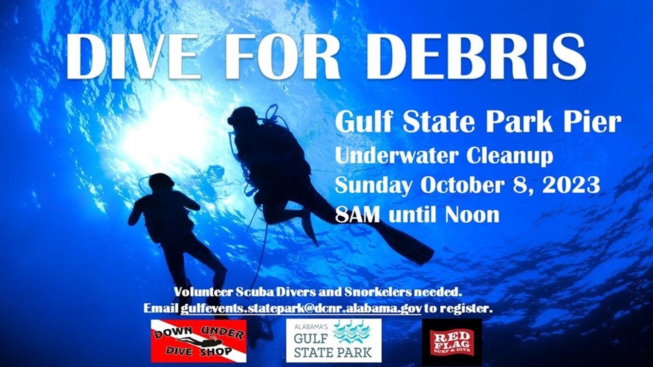 Dive For Debris 10_2023
