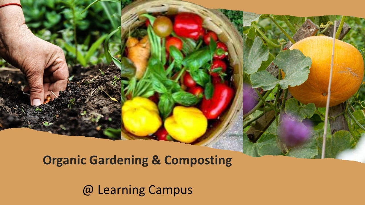 Organic Gardening