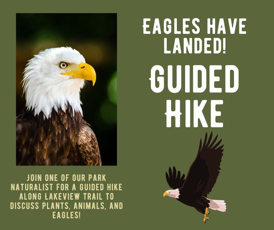 eagle hike