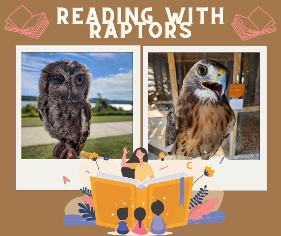 reading with raptors