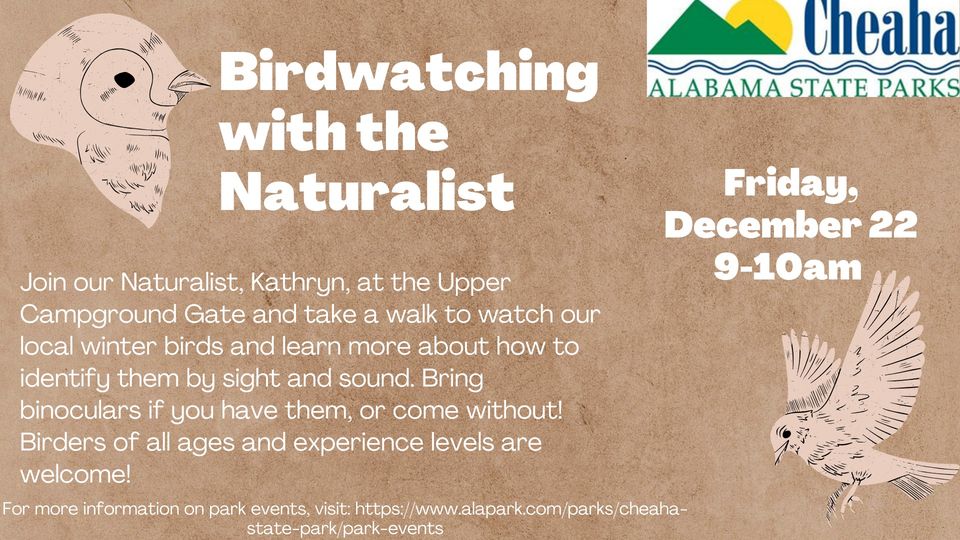 Birding with the Naturalist