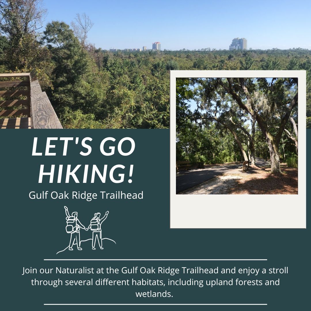 guided hike